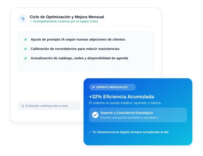 Optimización mensual